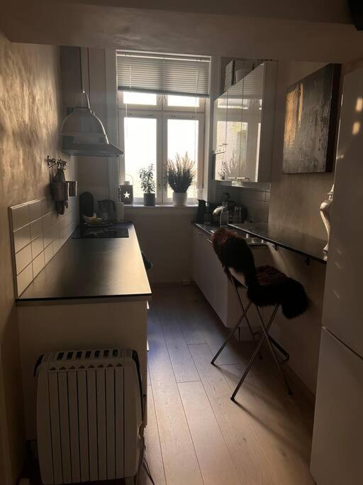 Royal Neighbourhood Elegant Flat In Central Oslo Eksteriør bilde
